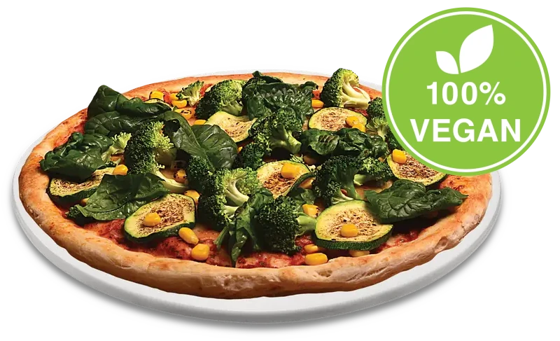 100% Vegan